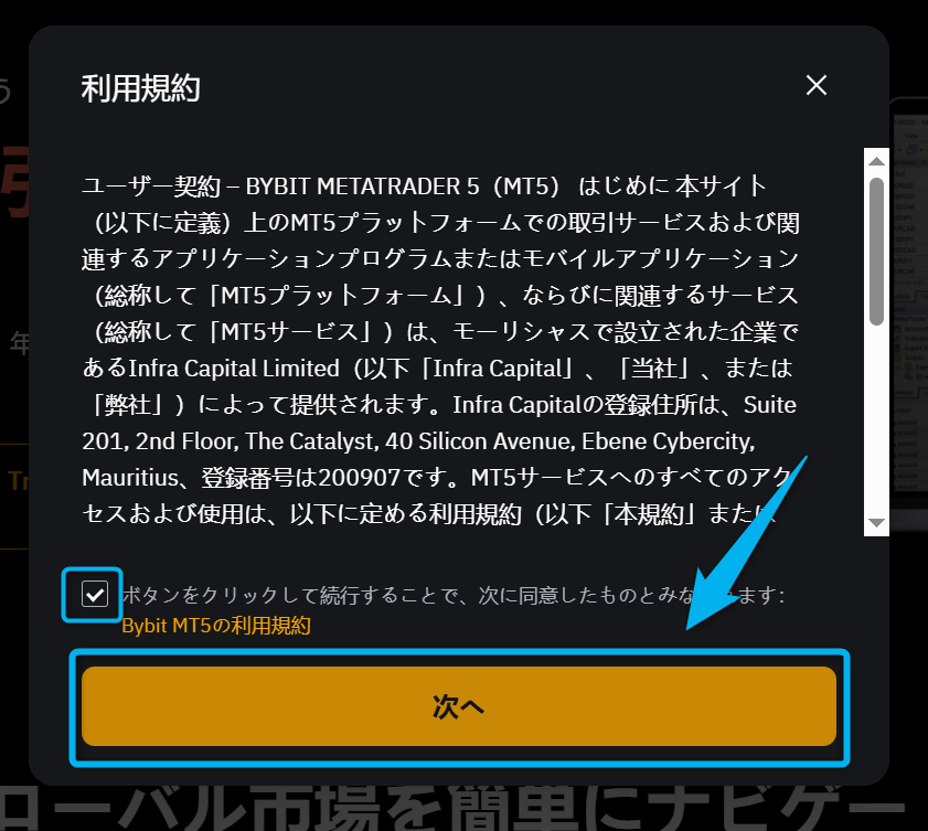 Bybit MT5(開設)